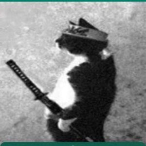 Meet your Posher, Bryan